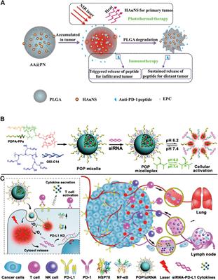 Recent advances in nano-drug delivery systems for synergistic antitumor immunotherapy